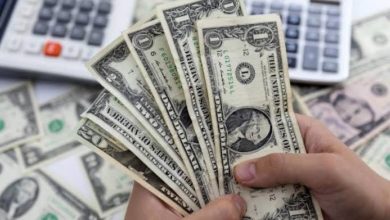 تراجع جديد في سعر الدولار أمام الجنيه المصري اليوم الأربعاء 21 مايو – ryan