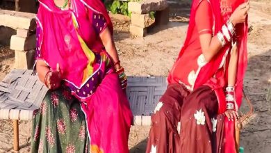Bahu was hung up in the crime of the death of Mother -in -law, 95 times attacked with Hansia