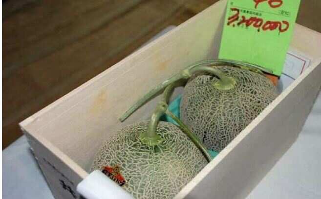 Know what is special in this melon, which was auctioned in 19.84 lakhs