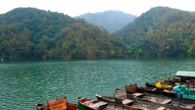 If you also turned in one place, you should also wander 5 this place of Noida