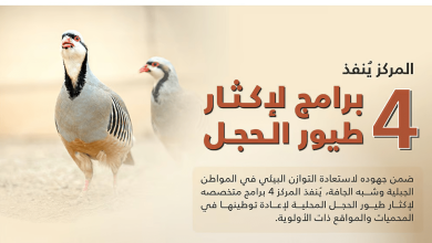“تنمية-الحياة-الفطرية”-تطلق-4-برامج-لإكثار-طيور-الحجل-في-المملكة-**