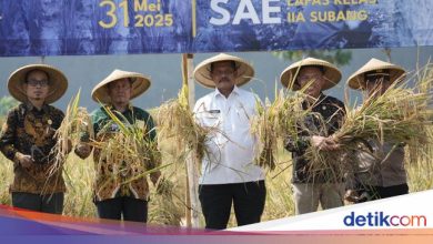 Dirjen Pass involves the promoted residents of the lapas subang contribution of the food security program