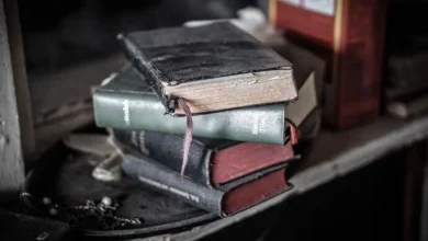5 Best Books To Read About War Strategies: Complex Read to Know The Dynamics