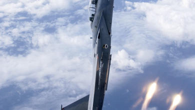 World’s deadliest fighter