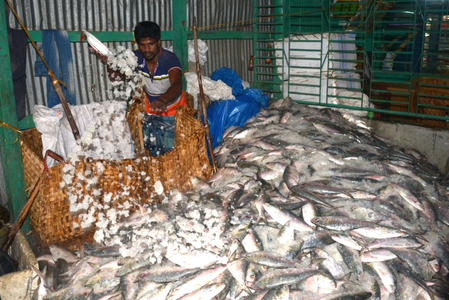 Despite global uncertainties, India’s C-Food Exports boom