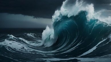 Mega-tsunami warning within 50 years: New study says these 3 US states are in a direct disaster path | Today news
