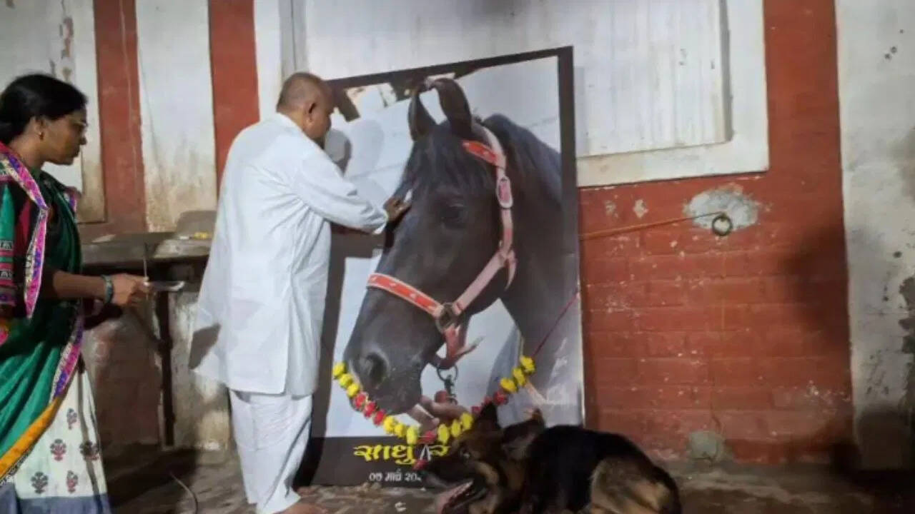 Patna: Our ‘Sadhu Saheb’ is no longer, after the death of the horse, the owner made his grave in the house, the last farewell to Hindu Dubies
