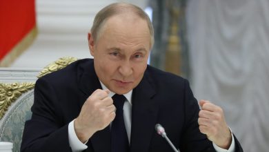 putin-says-russia-need-to-‘strangle’-western-tech-companies-soundless-in-nation