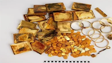 كنز-الغابة.-سياح-يعثرون-على-600-قطعة-مجوهرات-بالصدفة