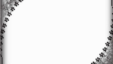 كيف-احسب-نسبتي-–-لاينز