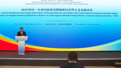 Seminar organized on the rule of countries in China Central