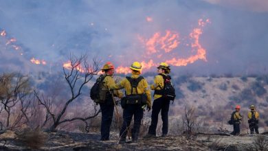 Exposure to forest fire smoke can reduce the chances of survival of patients with lung cancer