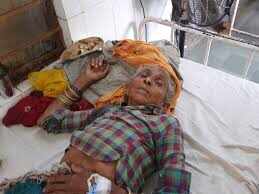 Bear’s attack on elderly woman in karauli, leather injured in video