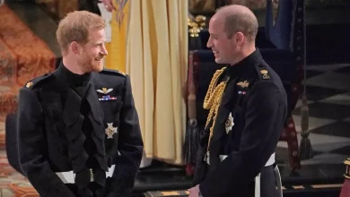 Prince Harry Says William ‘Hurt’ Him With Savage Remark Which ‘Didn’t Make Sense’ – ryan