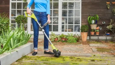 Save £ 50 on ‘Brilliant’ Cordless Patio Cleaner that Gets Rid of ‘Moss and Weeds in A Jiffy’ – ryan