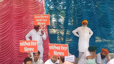 Drive Delhi, Bring Punjabi: ‘Monkey’ rebellion against his own government, strong protest in Patiala