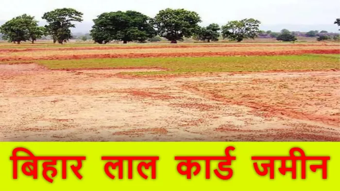Bihar Bhumi: Shocking Reviews About Red Card Land, Land Mafia Active In Bihar District – Bihar Bhumi Araria News Investigation on Red Card Land Deals in Nawabganj