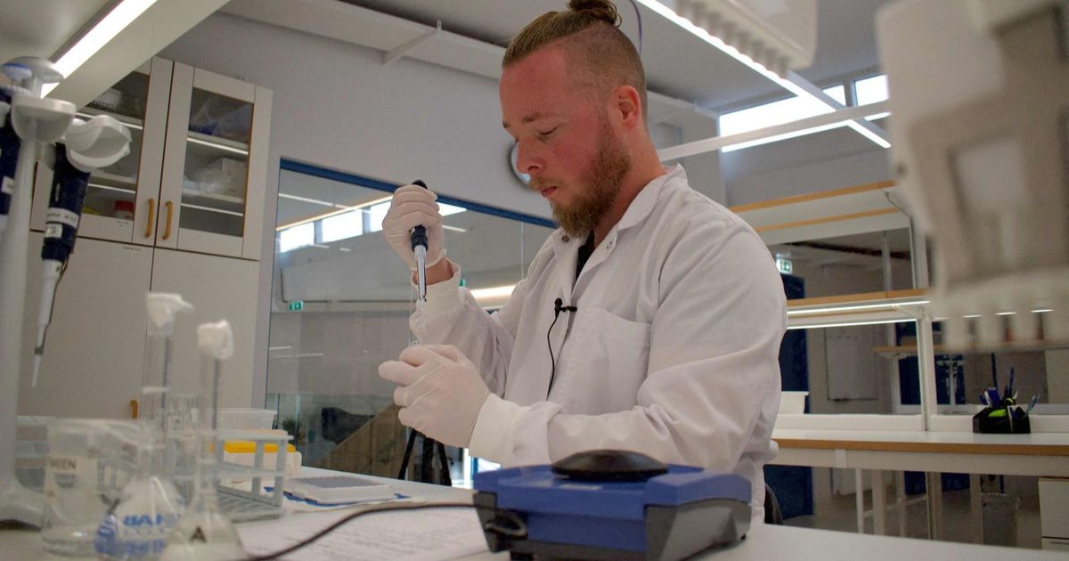 Study: Cholesterol medication can reduce the deaths of blood rotting patients