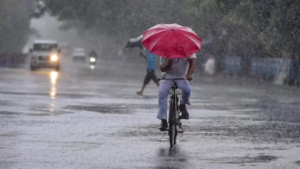 Information on serious thunderstorm warning for these three days in Bihar, Monsoon rains also came …