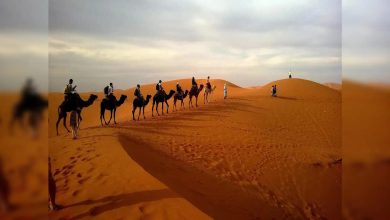 There is a deep connection to the designation of Thar Desert from Pakistan, who knows such features in leaked footage, knowing that everyone will know