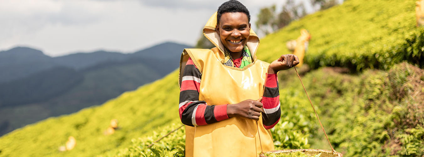 world-tea-day-united-nations