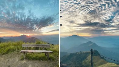 You should also visit these places with children