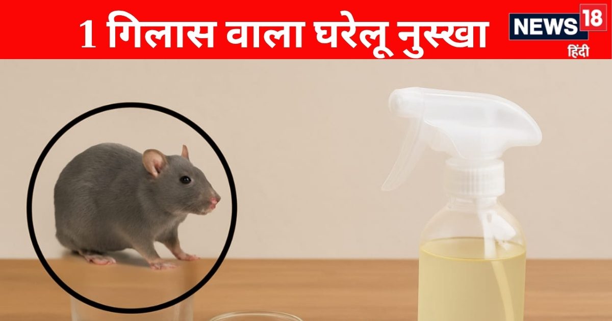 Have a rat -old 1 -glass way to escape, this means of yoga guru kailash will expose the mice within minutes!