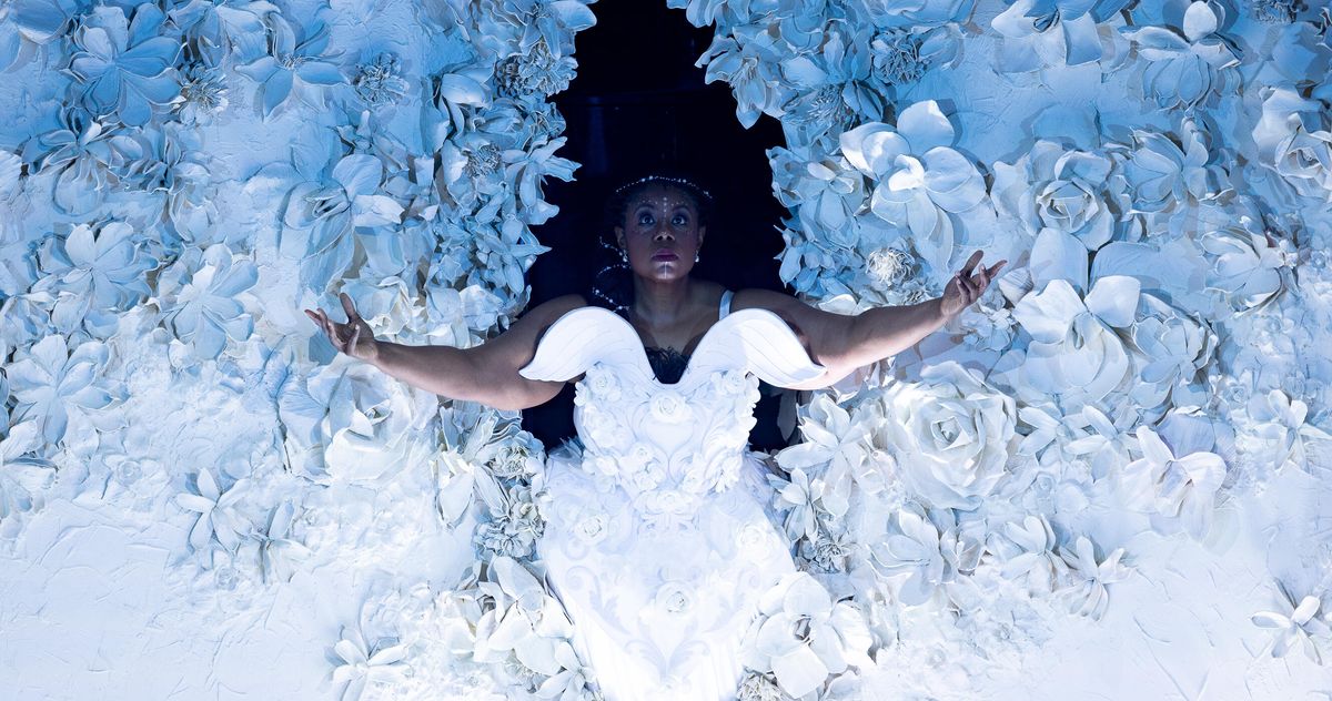 the-reverse-fling-double-imaginative-and-prescient-of-‘the-comet/poppea’