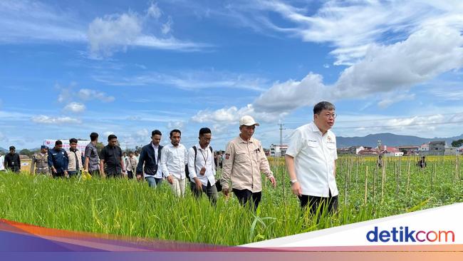 Commission IV of the DPR encourages cheap Papak Sawah in Western Sumatra to become a national program