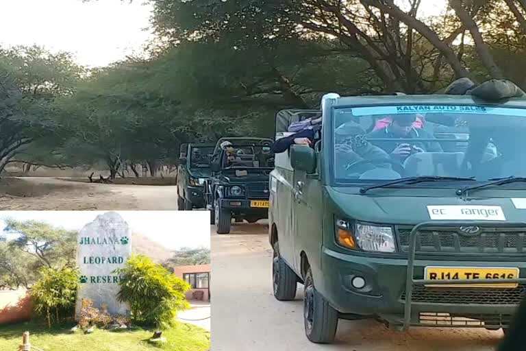 Know that these 7 special things from Jhalana Leopard Safari will also do bag packs, why are you going to the center of global attraction in the video