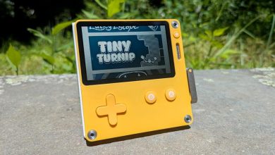 Tiny Turnip and Chance’s Lucky Escape – ryan