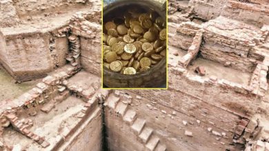 The remains of ancient civilization associated with the Saraswati River, tools and Jain records of the Mahabharata period were also found in dough, Rajasthan.