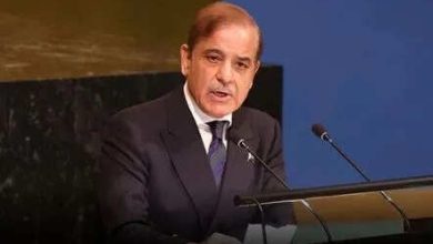 Pakistan, Prime Minister Shahbaz Sharif pleaded with America to talk to India