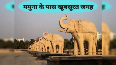 You should also do the weekend of these beautiful places near Yamuna in Delhi