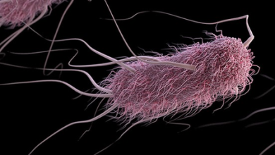 Portable DNA -Succession Device will help with the search for antibiotic resistance