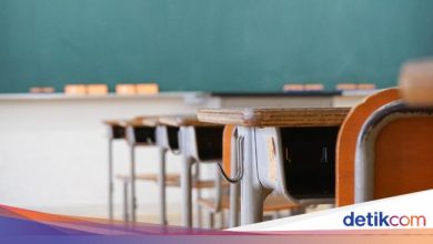 Free Health Test School Children: Schedule for Inspection Types