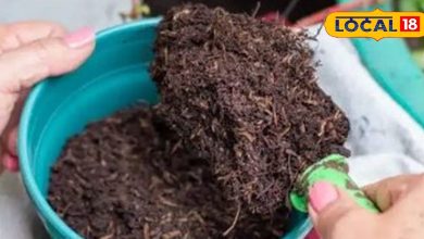 Whatever is not a task, see the miracle of it … kitchen waste changes the horoscope of farmers here