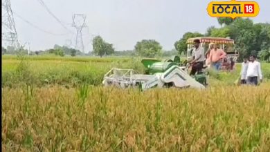 No work will be done in farming; This government scheme will make left -hand game
