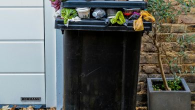 These countries are covered with waste of food
