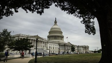 The Senate removes the artificial intelligence item from Trump’s Tax Act