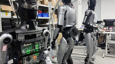 China assesses the ability of its technologies to withstand the restrictions of Trump’s exports