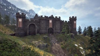 Awakening, and More – ryan