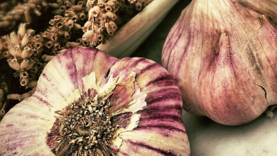 Who is growing the most garlic in the world?