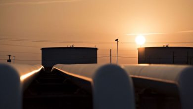 Oil takes off for the second day with the anticipation of the “OPEC+” decision on production