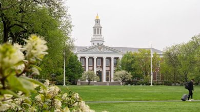 Harvard and White House talks stumbled to reach a quick settlement