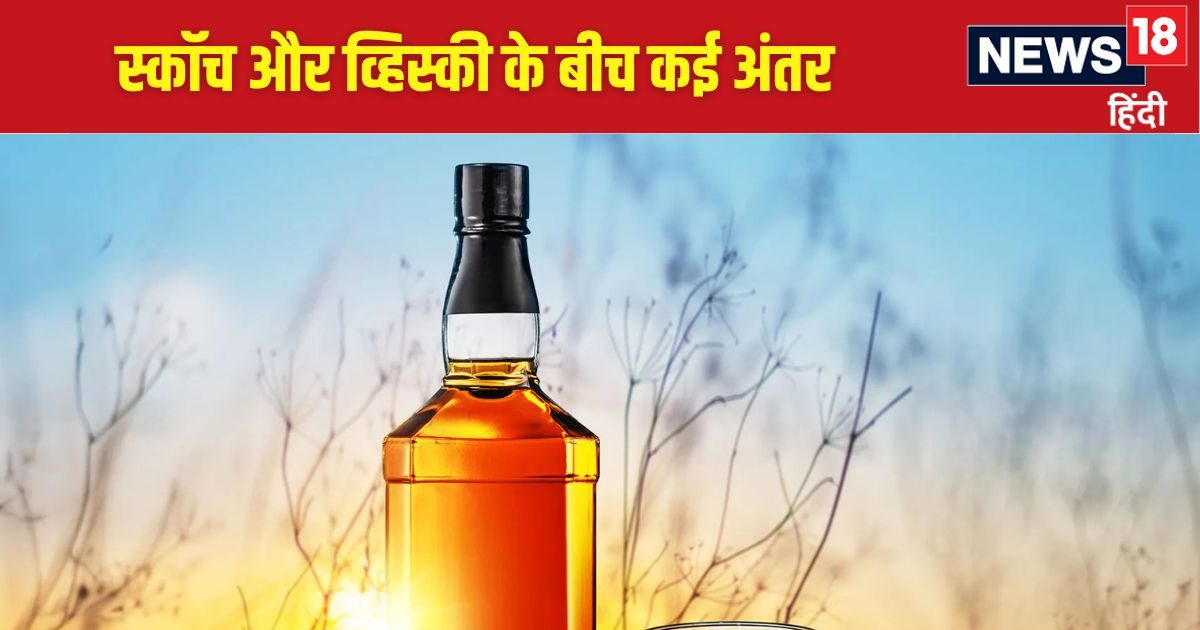 स्कॉच और व्हिस्की में क्या अंतर होता है? नहीं जानते हैं ज्यादातर लोग