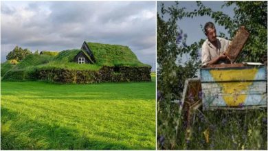 Here is the most unique village in the world, where people have lived in homes for hundreds of years like ‘rats of rats’
