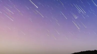 في مشهد سماوي نادر، يترقب هواة الفلك في المملكة والعالم العربي فجر الأربعاء 30 يوليو، ذروة…