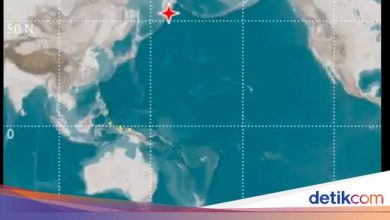 Tsunami impact of the Russian earthquake detected in Indonesia: 19 cm in Sarmi Papua