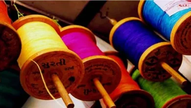 Delhi News: Vicious was caught with deadly manje, police have recovered 31 wheels -NCR East Delhi crime man arrested with deadly manjha and five arrested for stabbing
